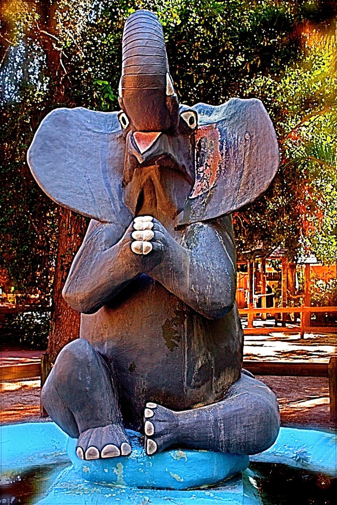 florida jungle gardens elephant