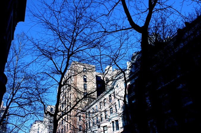 new york city buildings trees shadows