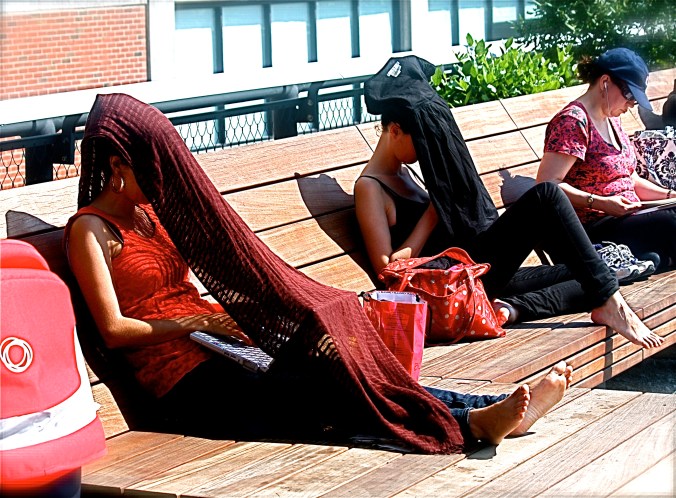 new york summer highline park 2