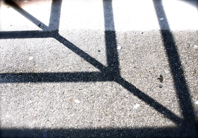 shadows on the ground
