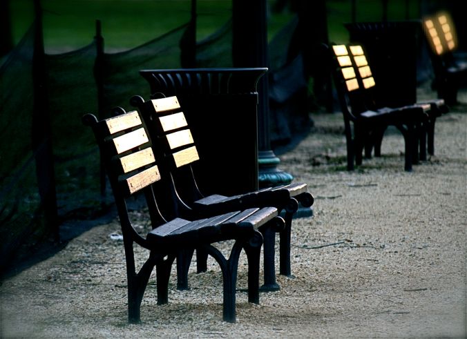 washington dc benches mall sunlight