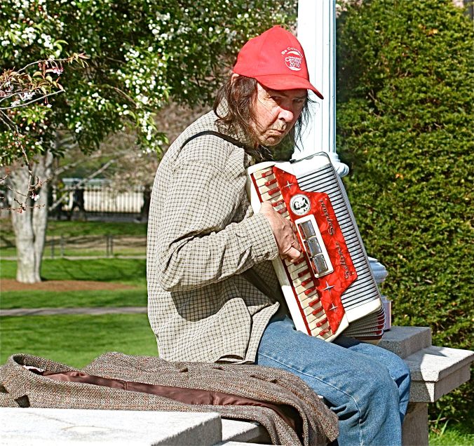 boston common accordian player