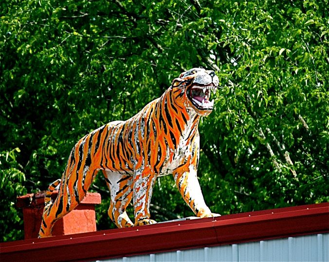 worcester plastic tiger
