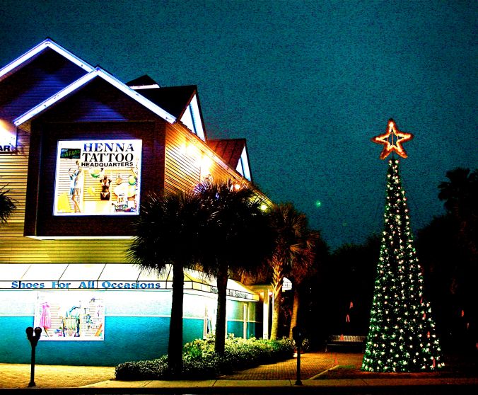 florida clearwater christmas tree