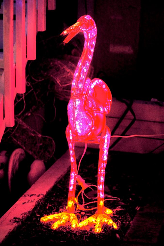 baltimore hampden christmas decorations 4