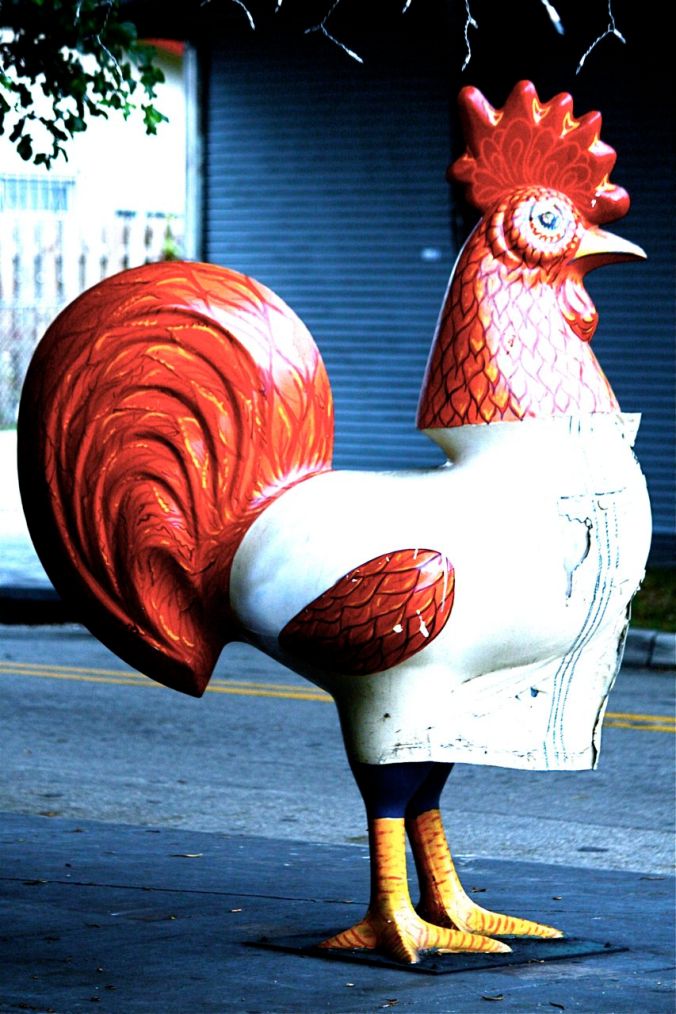 miami little havana large chicken