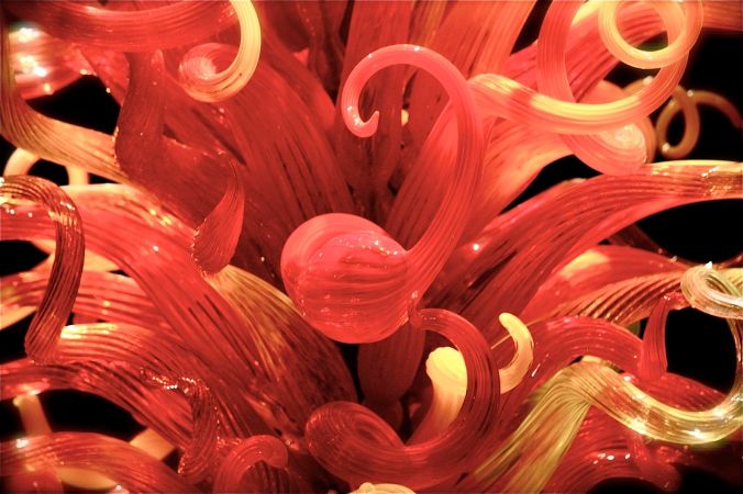 boston museum of fine arts cichuly exhibit 6