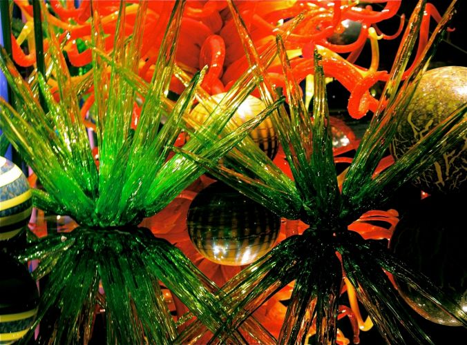 boston museum of fine arts cichuly exhibit 7