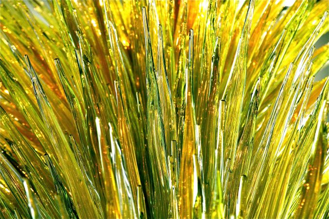 boston museum of fine arts dale chihuly exihibt 17