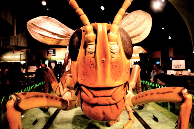 boston museum of science grasshopper