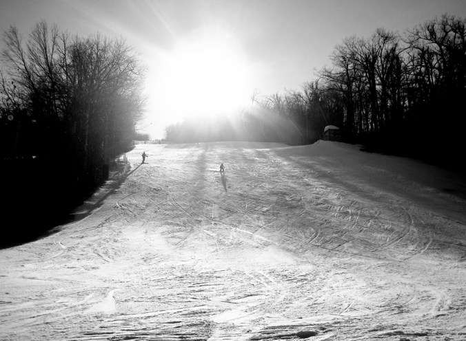 wachusett challenger trees black white