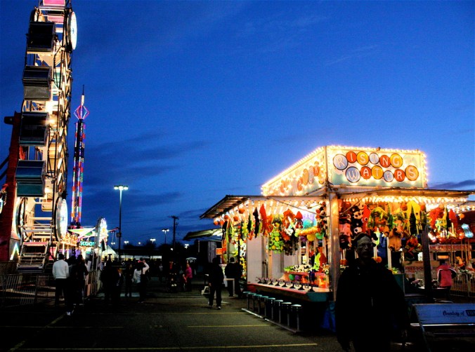 boston revere fair view