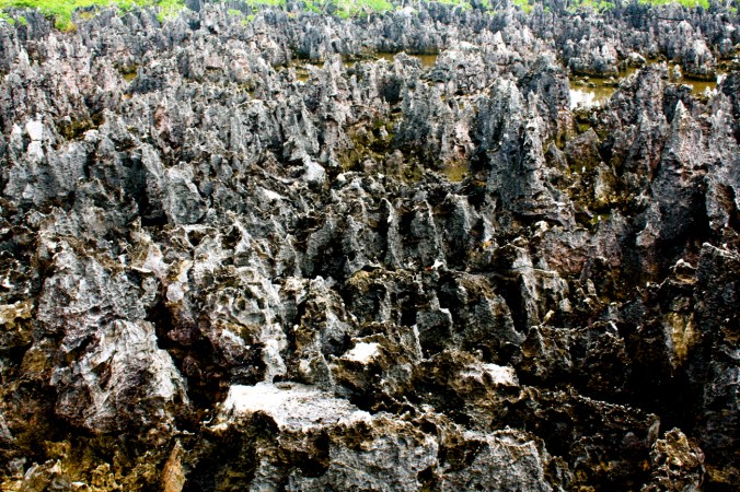 cayman islands hell rock formation green background