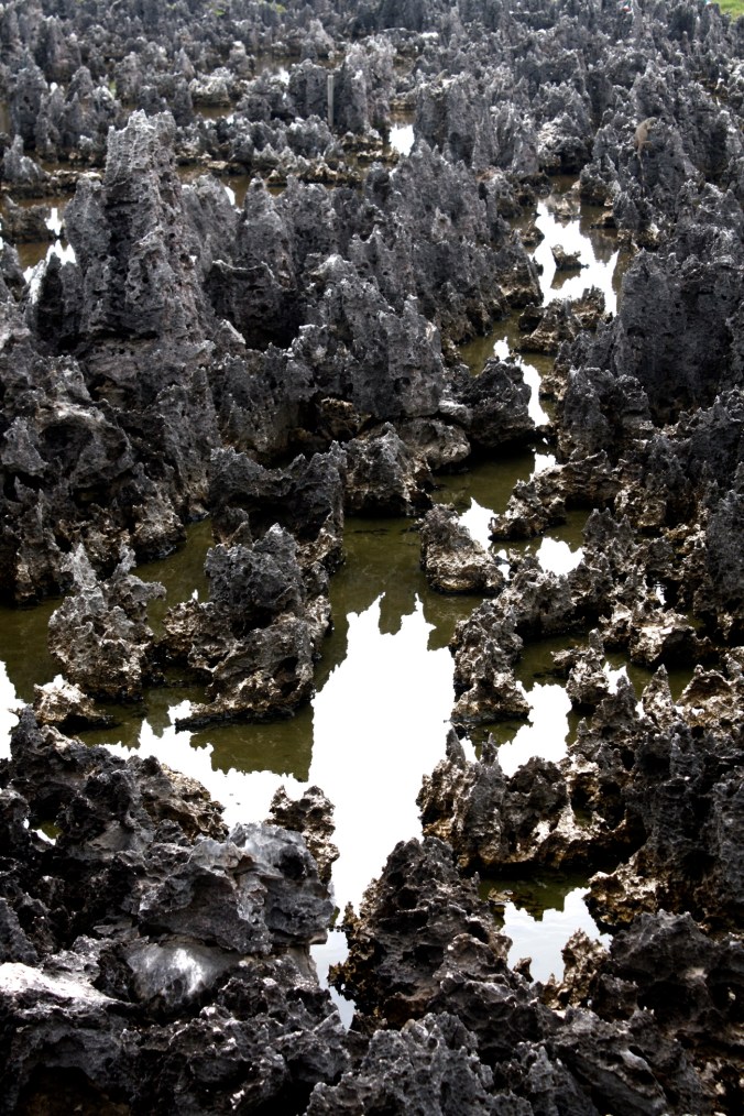 cayman islands hell rock formation