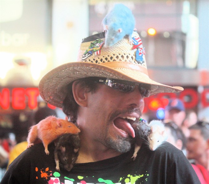 new york city times square man licking rat