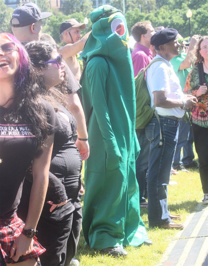 boston boston common hemp fest september 15 2012 gumby