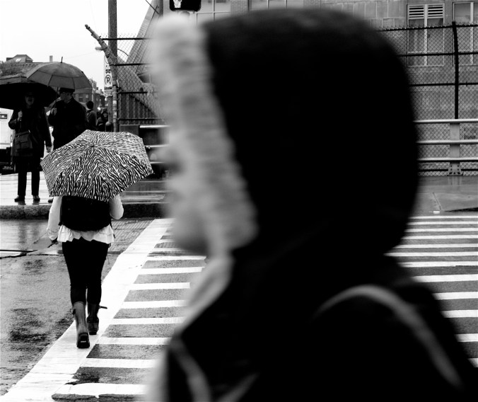 boston boylston street people with umbrellas 3