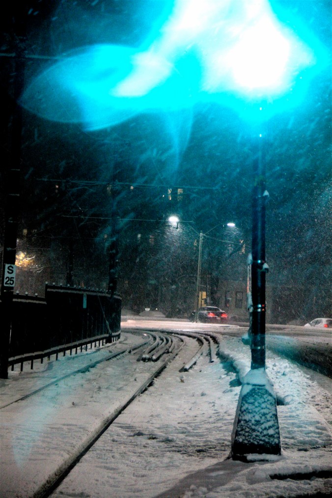 boston allston first snow storm november 7 2012 20