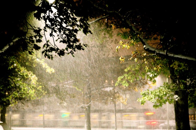 boston allston first snow storm november 7 2012 9