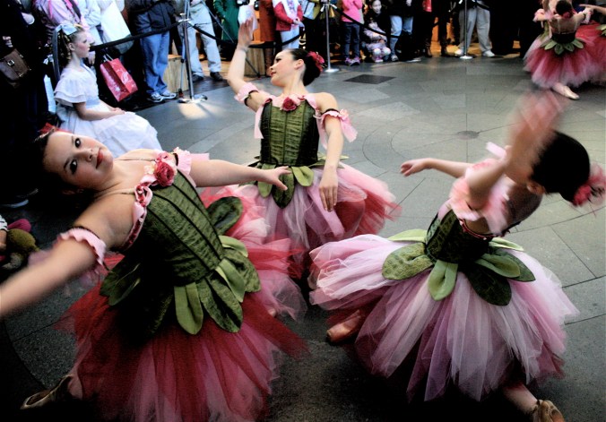 boston faneuil hall nutcracker 8