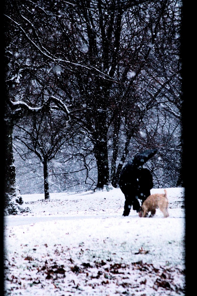 new york city snow storm december 29 2012 blue