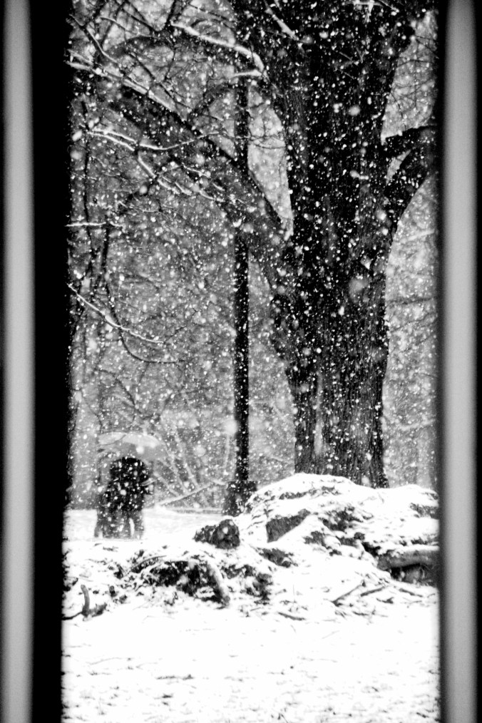 new york city snow storm december 29 2012 outside snow