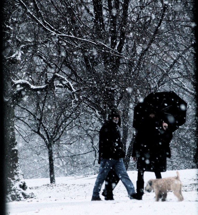 new york city snow storm december 29 2012 park scene
