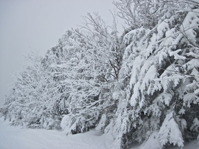 stratton ski resort vermont 5
