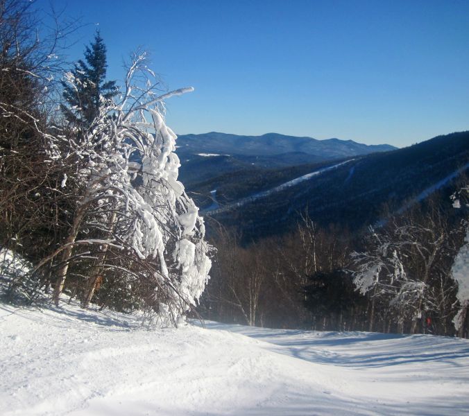 sugarbush snow trees 4