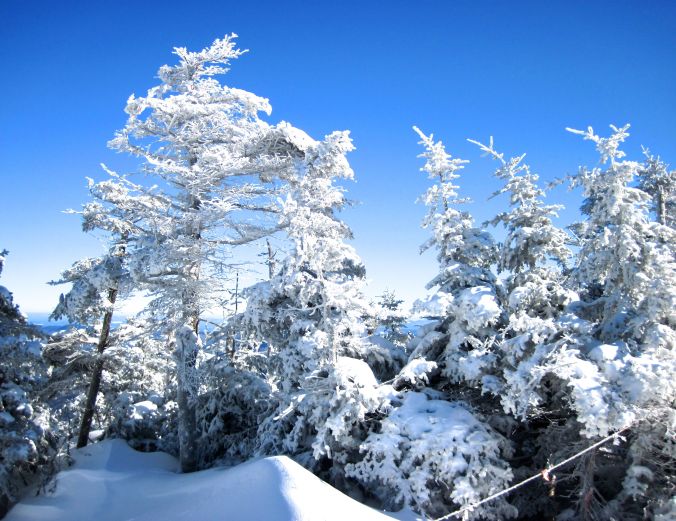 sugarbush upper mountain white snow trees