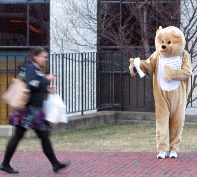 boston northeastern university man in bear suit 2