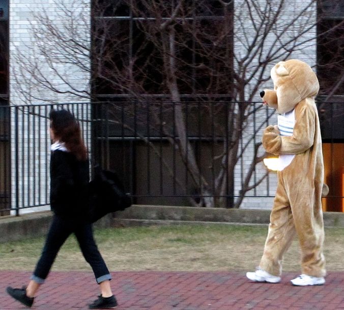 boston northeastern university man in bear suit