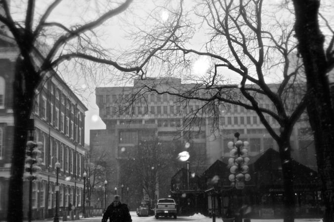 boston snow storm february 8 blizzard nemo government center trees snow
