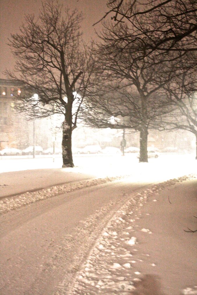 boston snow storm february 8 blizzard nemo pink trees