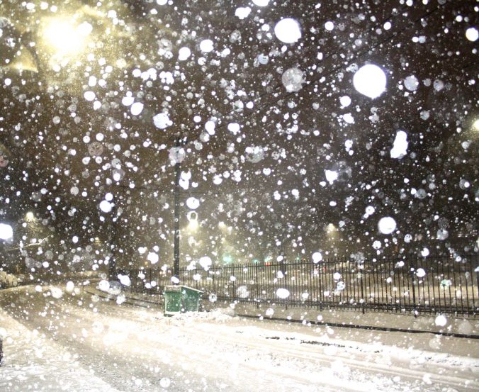 boston snow storm february 8 blizzard nemo snow flakes