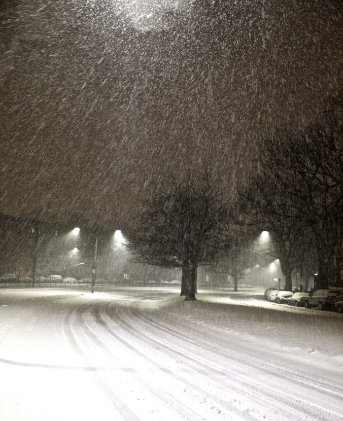 boston snow storm february 8 blizzard nemo snow on commonwealth avenue