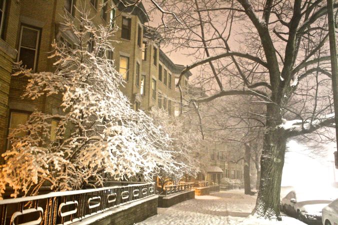 boston snow storm february 8 blizzard nemo trees fence street allston