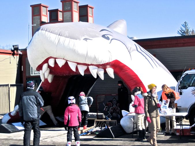 wachusett shark mouth open