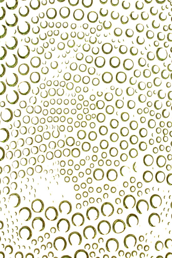 western new england lights close up