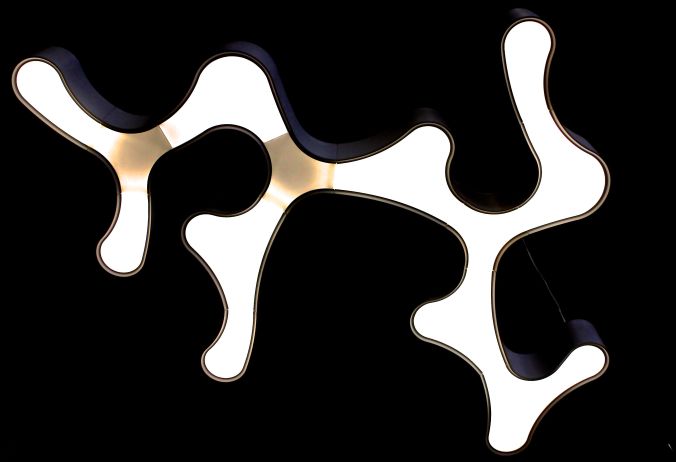 western new england university aomeba lamps