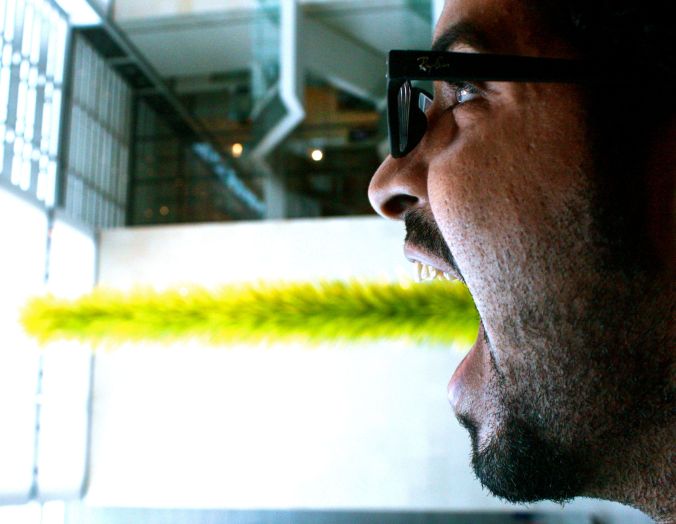 boston museum of fine arts American wing portrait