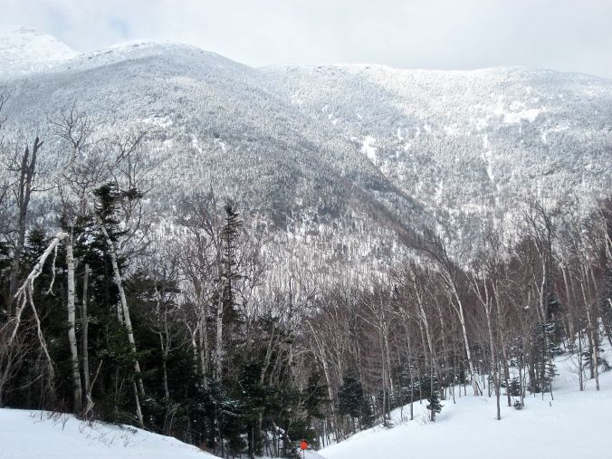 stowe mountain view 2