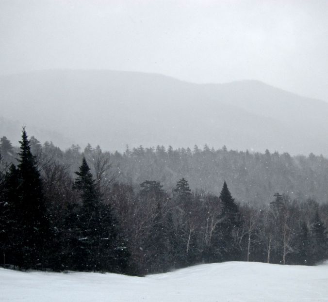 stowe summit trees snow