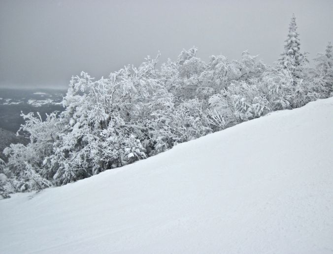 sugarbush heaven's gate hill tress
