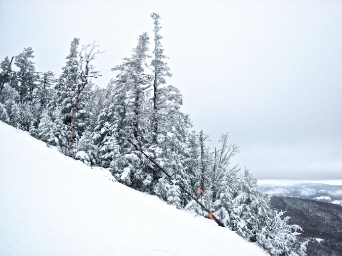 sugarbush heavens gate trees diagonal