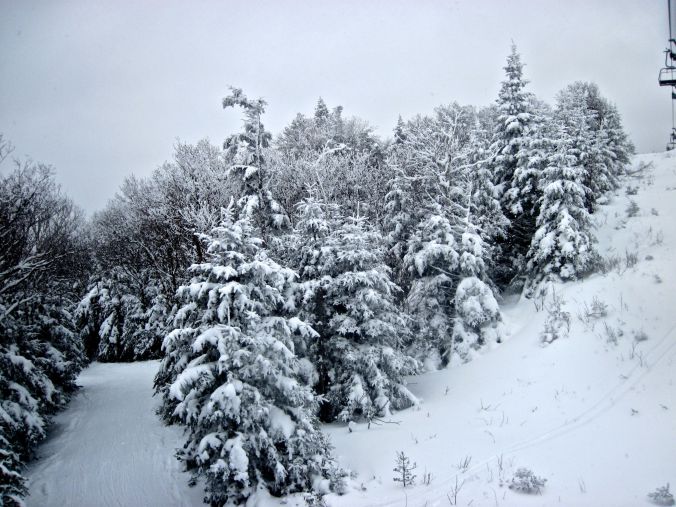 sugarbush mount ellen lift snow trees 2