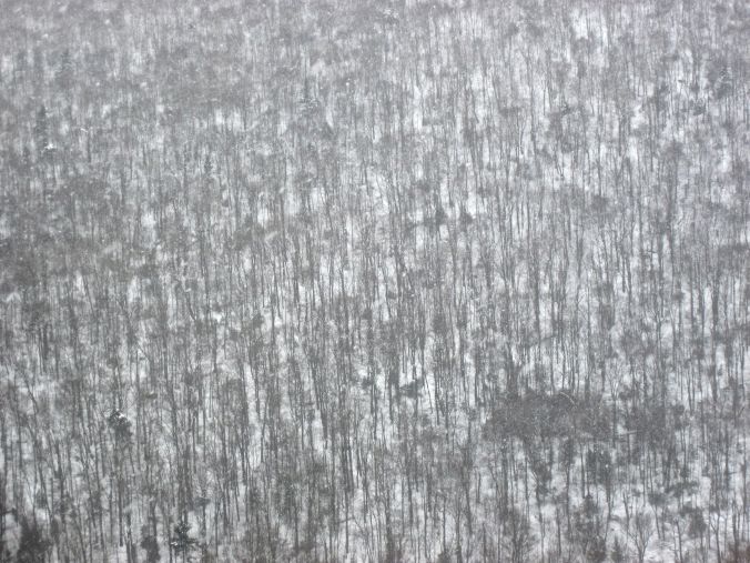 sugarbush mountain view