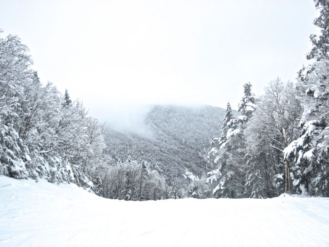 sugarbush trees view heavens gate mountain background