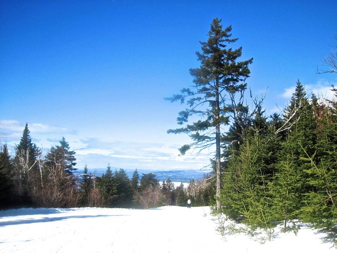 sunapee trees mountain view