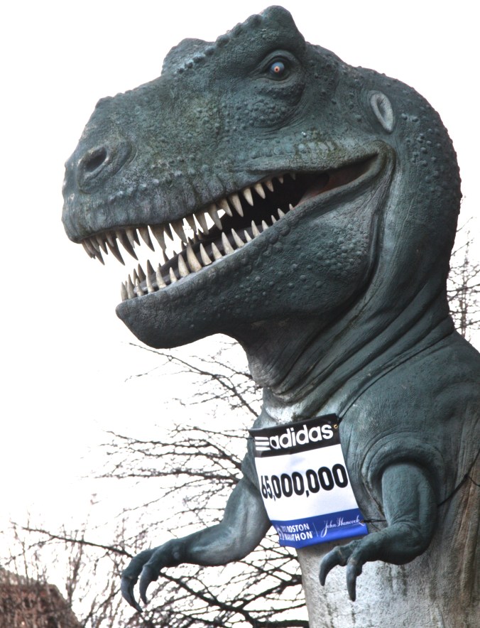 boston science museum t rex marathon number